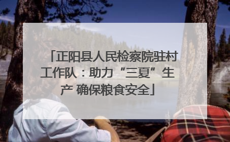 正阳县人民检察院驻村工作队：助力“三夏”生产 确保粮食安全
