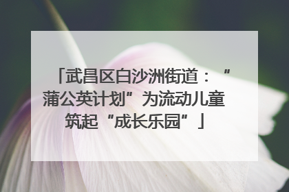 武昌区白沙洲街道：“蒲公英计划”为流动儿童筑起“成长乐园”