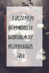 武汉经开区纱帽街开展防溺水宣传进校园活动