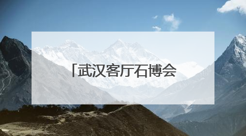 武汉客厅石博会举办十周年庆典 打造全国石文化交流新高地