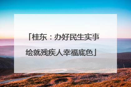 桂东：办好民生实事 绘就残疾人幸福底色