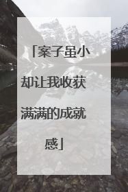 案子虽小却让我收获满满的成就感