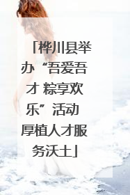 桦川县举办“吾爱吾才 粽享欢乐”活动 厚植人才服务沃土