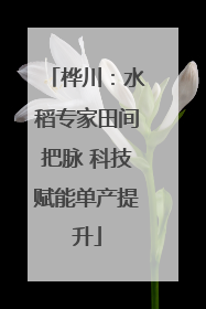 桦川：水稻专家田间把脉 科技赋能单产提升