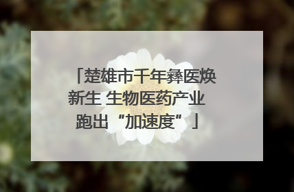 楚雄市千年彝医焕新生 生物医药产业跑出“加速度”
