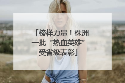 榜样力量！株洲一批“热血英雄”受省级表彰