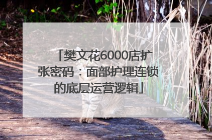 樊文花6000店扩张密码：面部护理连锁的底层运营逻辑