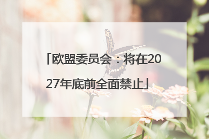 欧盟委员会：将在2027年底前全面禁止