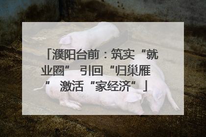 濮阳台前：筑实“就业圈” 引回“归巢雁” 激活“家经济”