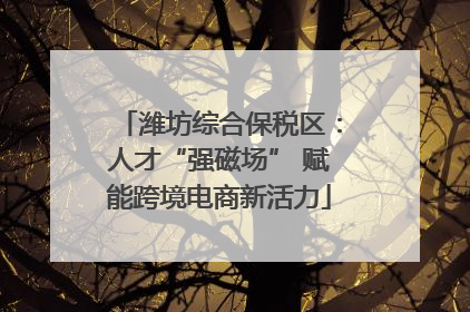 潍坊综合保税区：人才“强磁场” 赋能跨境电商新活力