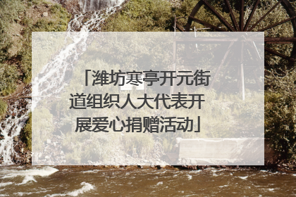 潍坊寒亭开元街道组织人大代表开展爱心捐赠活动