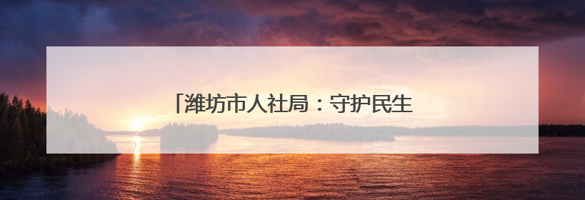 潍坊市人社局：守护民生淬初心 人社先锋绽风采