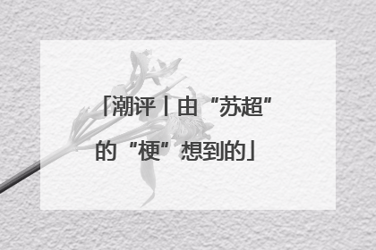 潮评丨由“苏超”的“梗”想到的