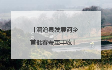 澜沧县发展河乡首批春蚕茧丰收
