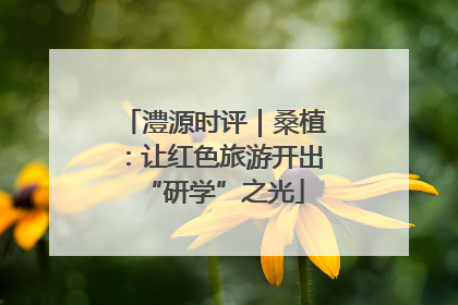澧源时评｜桑植：让红色旅游开出“研学”之光
