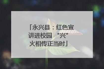 永兴县：红色宣讲进校园 “兴”火相传正当时