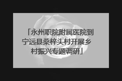 永州职院附属医院到宁远县桑梓头村开展乡村振兴专题调研