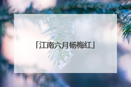 江南六月杨梅红