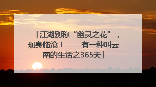 江湖别称“幽灵之花”，现身临沧！——有一种叫云南的生活之365天