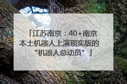 江苏南京：40+南京本土机器人上演现实版的“机器人总动员”