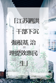 江苏泗洪：干部下沉强根基 治理提效惠民生