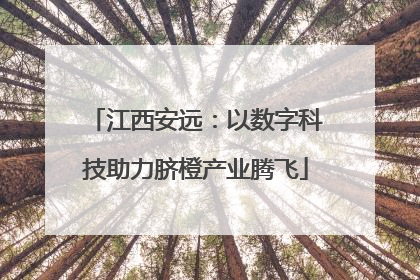 江西安远：以数字科技助力脐橙产业腾飞