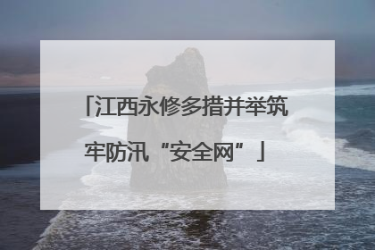 江西永修多措并举筑牢防汛“安全网”