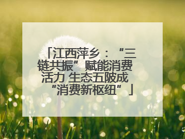 江西萍乡：“三链共振”赋能消费活力 生态五陂成“消费新枢纽”