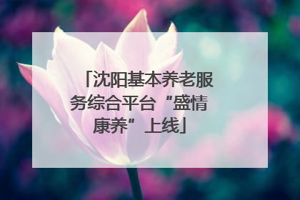 沈阳基本养老服务综合平台“盛情康养”上线