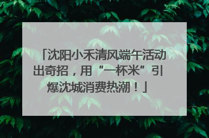 沈阳小禾清风端午活动出奇招，用“一杯米”引爆沈城消费热潮！