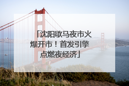 沈阳歇马夜市火爆开市！首发引擎点燃夜经济