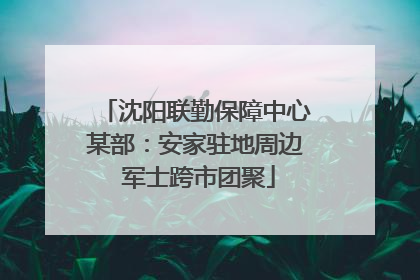 沈阳联勤保障中心某部：安家驻地周边 军士跨市团聚