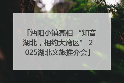 沔阳小镇亮相 “知音湖北，相约大湾区” 2025湖北文旅推介会