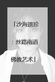 沙海遗珍：丝路南道佛教艺术