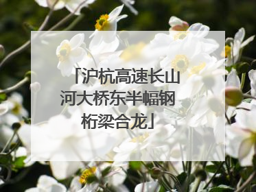 沪杭高速长山河大桥东半幅钢桁梁合龙