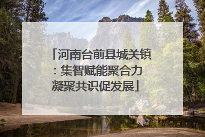 河南台前县城关镇：集智赋能聚合力 凝聚共识促发展