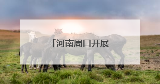 河南周口开展就业引航计划走进高校活动