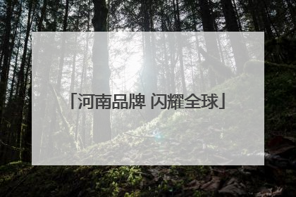 河南品牌 闪耀全球