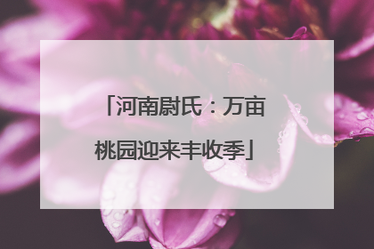 河南尉氏：万亩桃园迎来丰收季