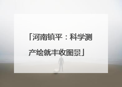 河南镇平：科学测产绘就丰收图景