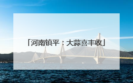 河南镇平：大蒜喜丰收