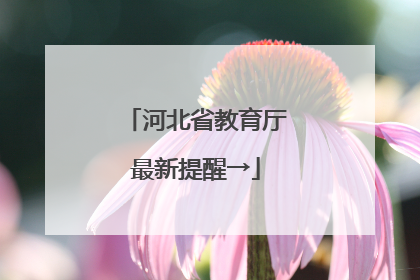 河北省教育厅最新提醒→