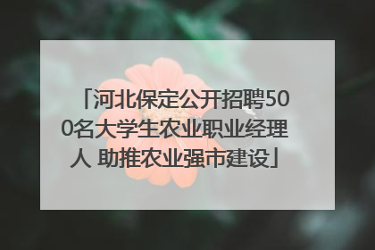 河北保定公开招聘500名大学生农业职业经理人 助推农业强市建设