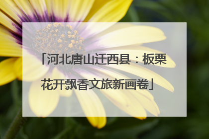 河北唐山迁西县：板栗花开飘香文旅新画卷