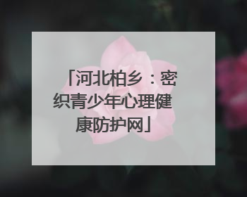 河北柏乡：密织青少年心理健康防护网
