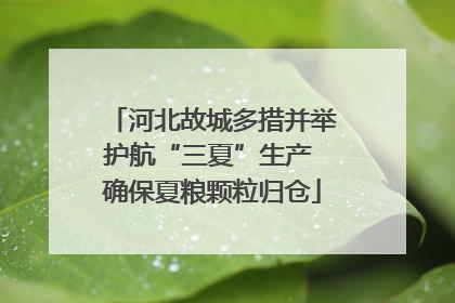 河北故城多措并举护航“三夏”生产 确保夏粮颗粒归仓