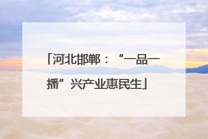河北邯郸：“一品一播”兴产业惠民生