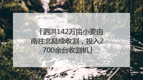 泗洪142万亩小麦由南往北陆续收割，投入2700余台收割机