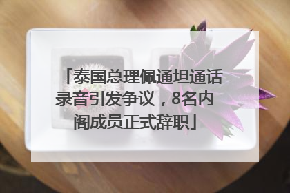 泰国总理佩通坦通话录音引发争议，8名内阁成员正式辞职