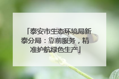 泰安市生态环境局新泰分局：靠前服务，精准护航绿色生产